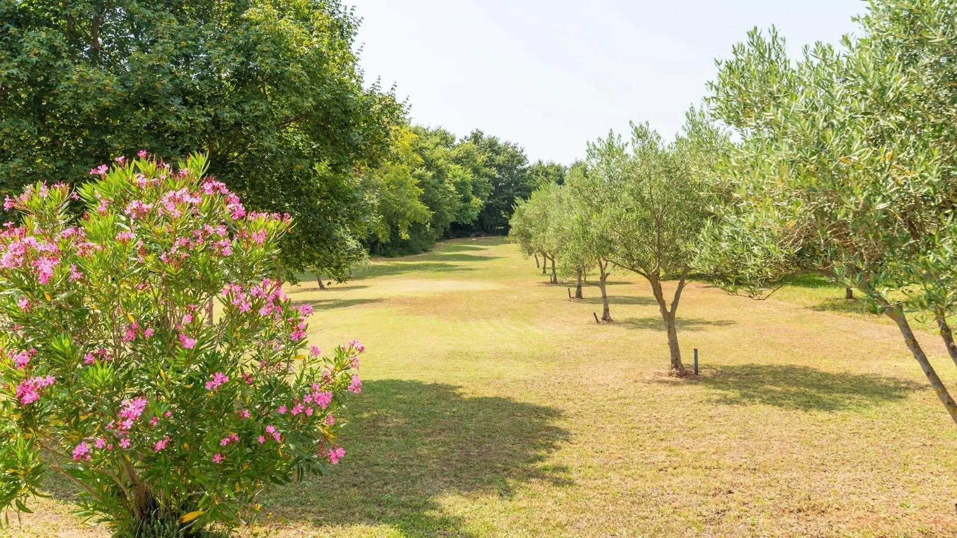 Villa Zivolic Gostinjska kuća